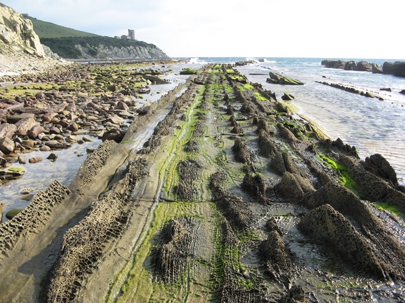 Flysch Gibraltar