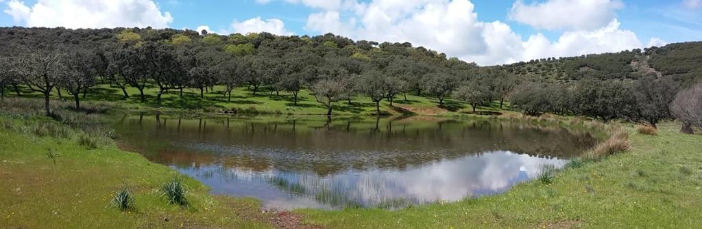 Panorámica monte público