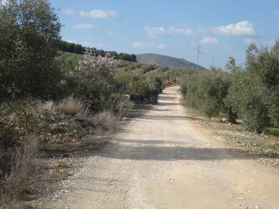 Vía pecuaria