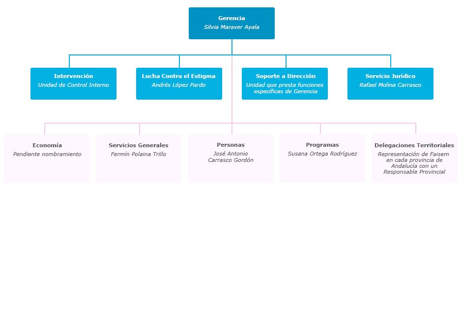 Organigrama de la Fundación Pública Andaluza para la Integración Social de Personas con Enfermedad Mental (FAISEM)