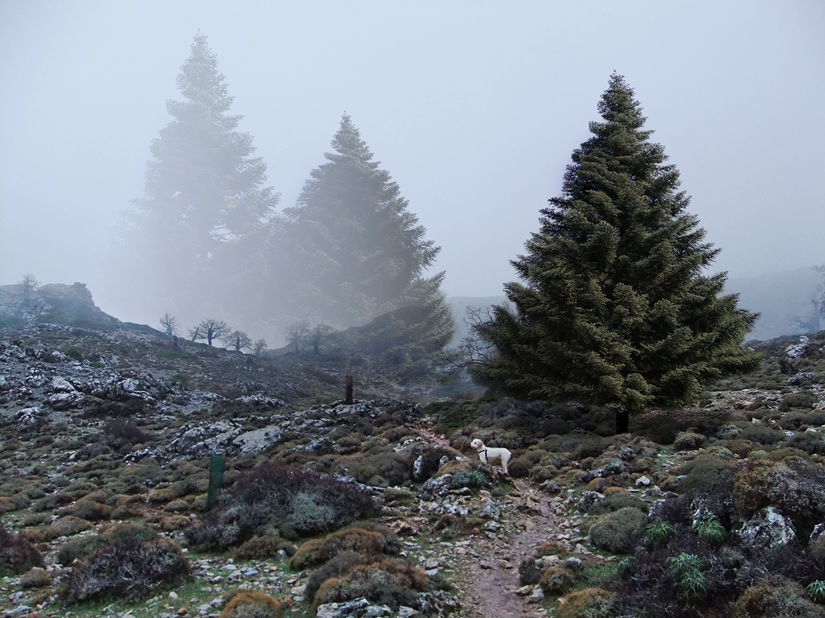 Clima Mediterraneo de Montaña