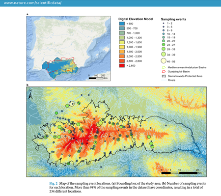 Imagen publicación Mari carmen Fajardo, Distribution and habitat database of fluvial Plecoptera, Trichoptera and Coleoptera from Sierra Nevada, Spain 