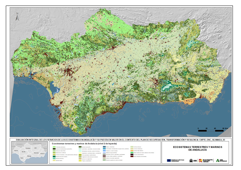 Cartografía de Ecosistemas Terrestres y Marinos de Andalucía, 2023