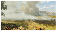 Incendio agrícola