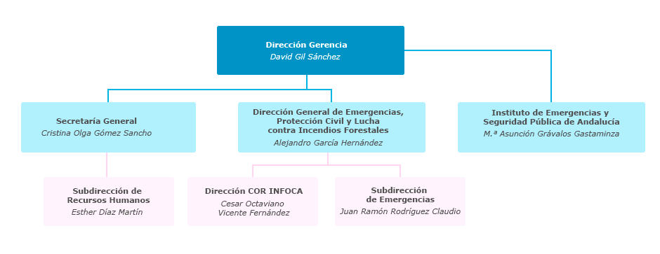 Organigrama de la Agencia de Seguridad y Gestión Integral de Emergencias de Andalucía (EMA)