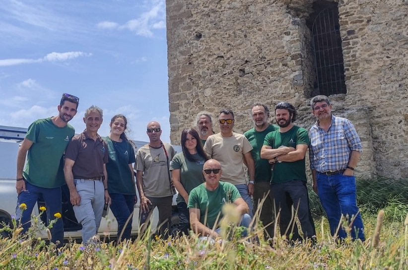 Equipo Ibis eremita