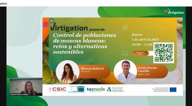 Webinarios